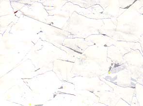 blanc