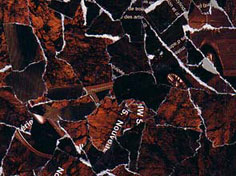 marron