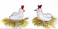 les poules