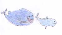 La baleine et le dauphin